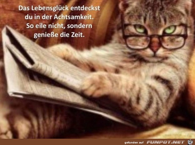 10 schne Sprche und Lebensweisheiten aus...