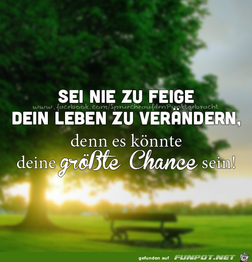 10 schne Sprche und Lebensweisheiten aus...