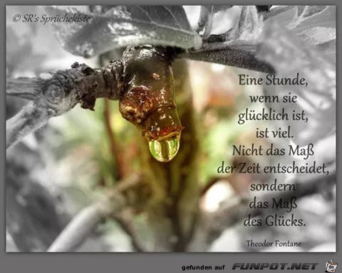 10 schne Sprche und Lebensweisheiten aus...