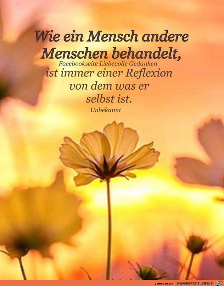 wie ein Mensch wie ein Mensch