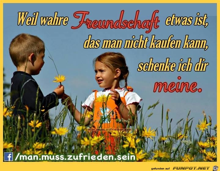 wahre Freundschaft wahre Freundschaft
