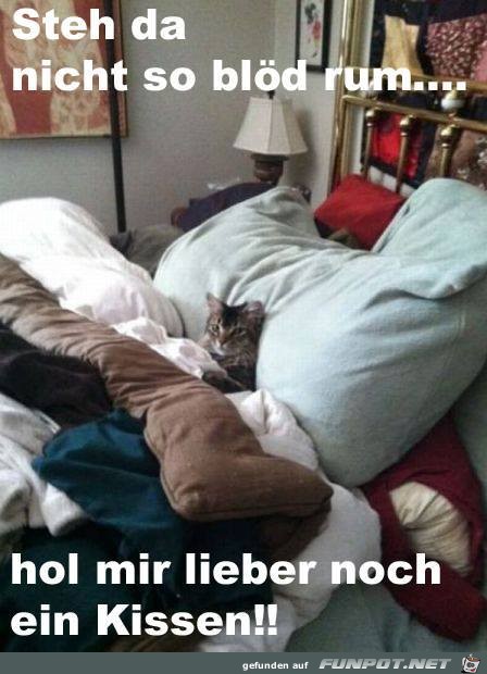 Kissen Kissen