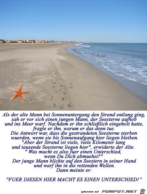der Seestern