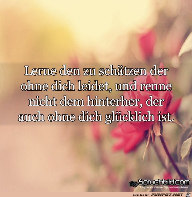 lerne den zu schaetzen lerne den zu schaetzen