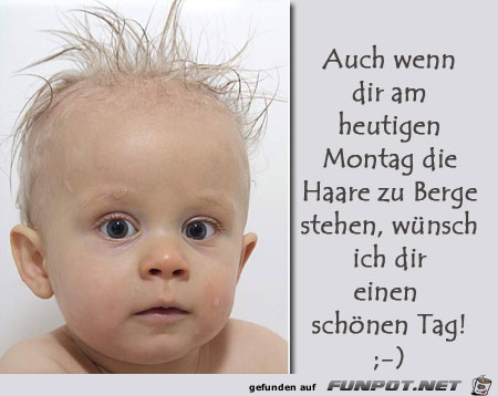 Auch wenn Auch wenn