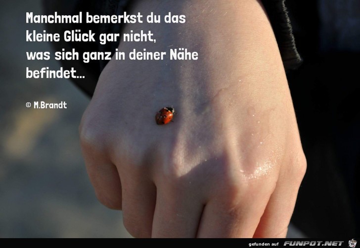 Naehe Naehe