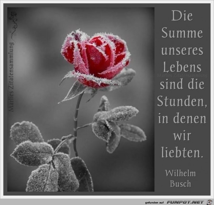 summe summe