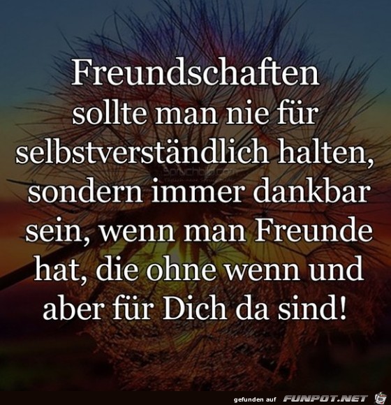 Freundschaften Freundschaften