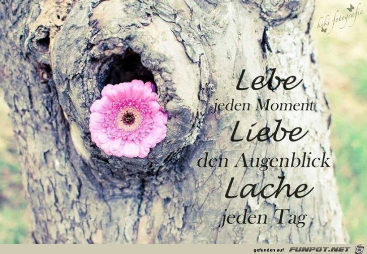 Lebe Lebe
