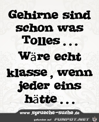gehirn-342x400 gehirn-342x400