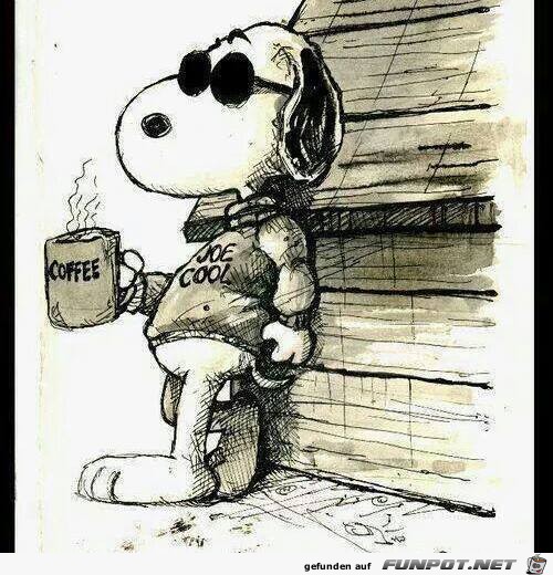 Joe Cool Joe Cool