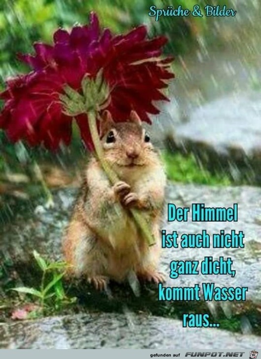 nicht ganz dicht