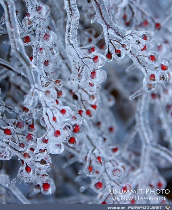 Gigantische Schnee- und Eis-Formationen!
