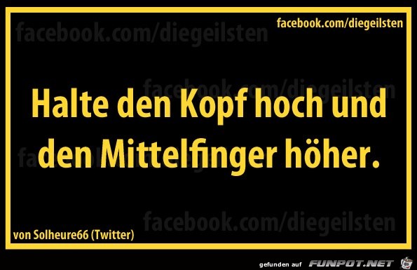 diegeilsten Mittelfinger diegeilsten Mittelfinger