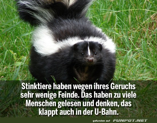 Geruch Geruch