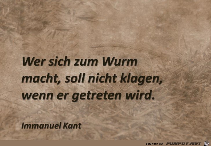 wer sich zum wurm wer sich zum wurm