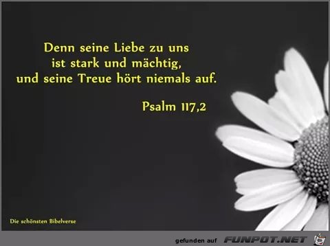 Psalm 117 2 Psalm 117 2