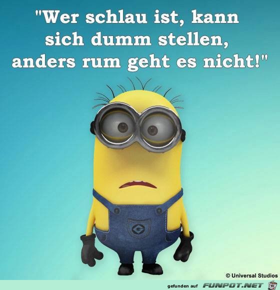 Schlau Schlau