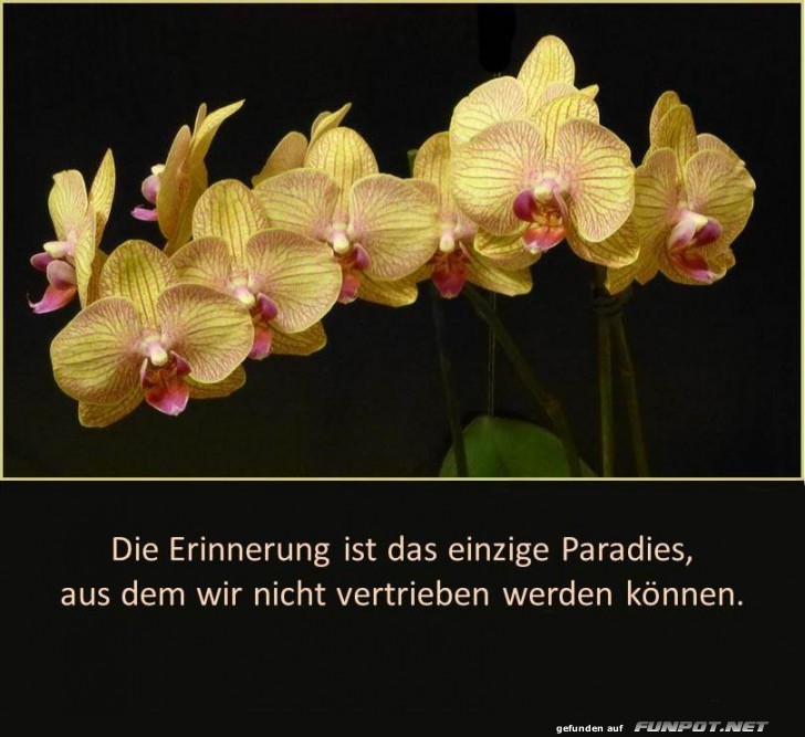 10 schne Sprche und Lebensweisheiten aus...