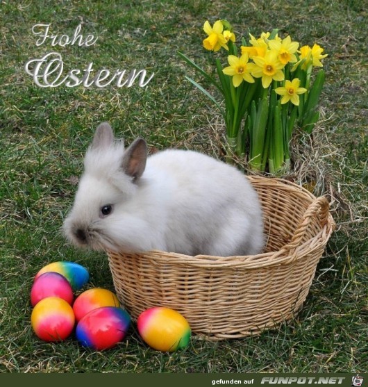 Frohe-ostern Frohe-ostern