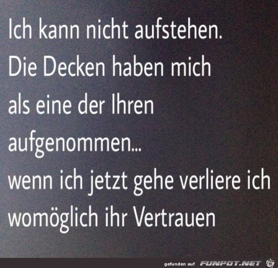 nicht aufstehen nicht aufstehen