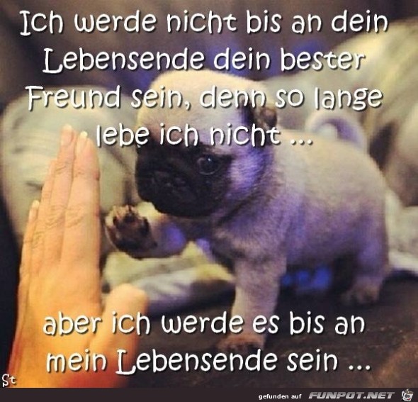 10 schne Sprche und Lebensweisheiten aus...