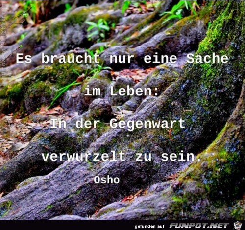 10 schne Sprche und Lebensweisheiten aus...