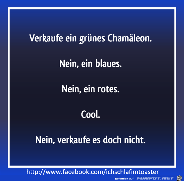 Chamaeleon