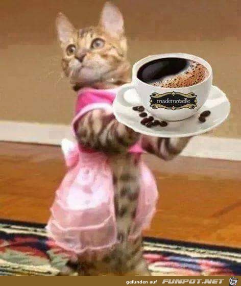 Cafe bitte Cafe bitte