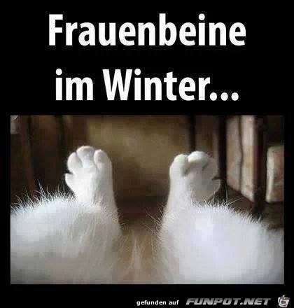 im Winter im Winter