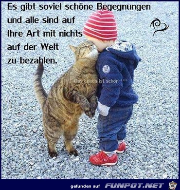 schöne Begegnungen