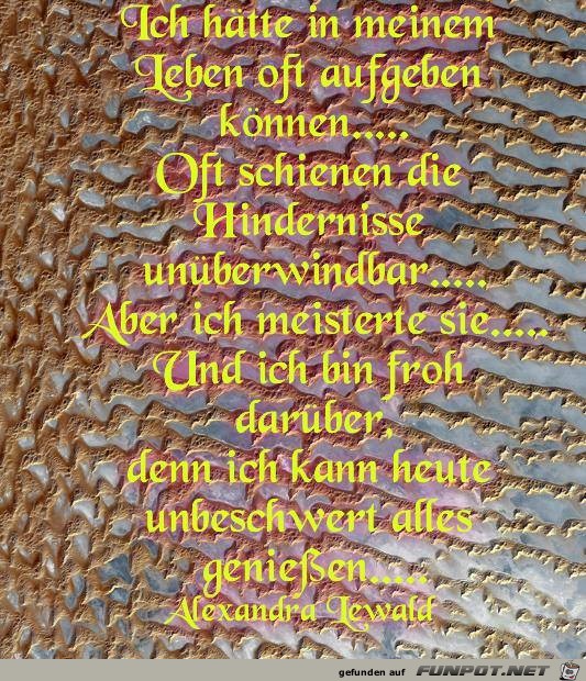 Ich haette in meinem Leben Ich haette in meinem Leben