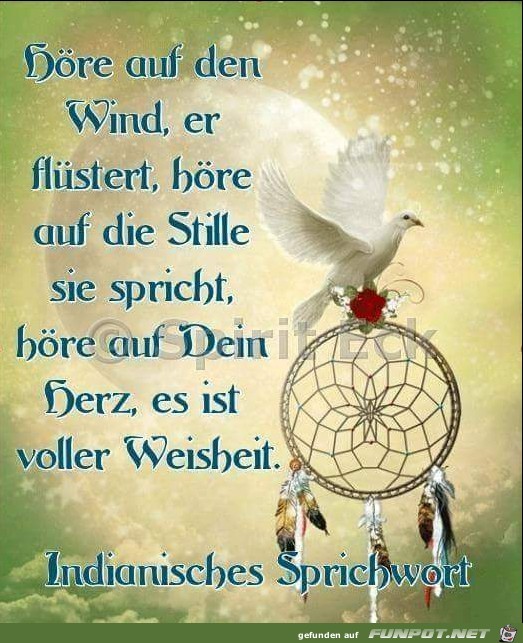 10 schne Sprche und Lebensweisheiten aus...
