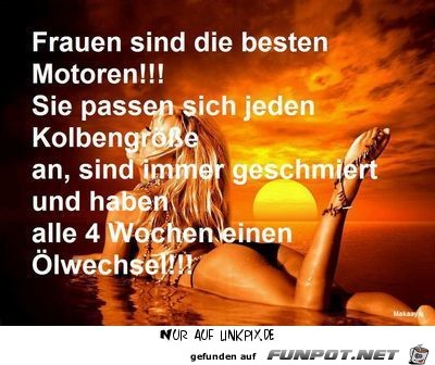 klasse Sprche und Witze!