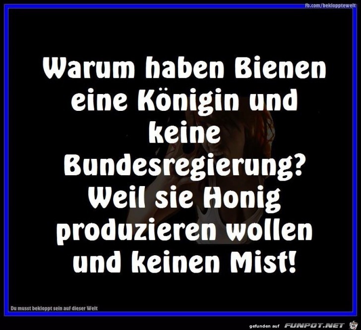 Bienen Bienen