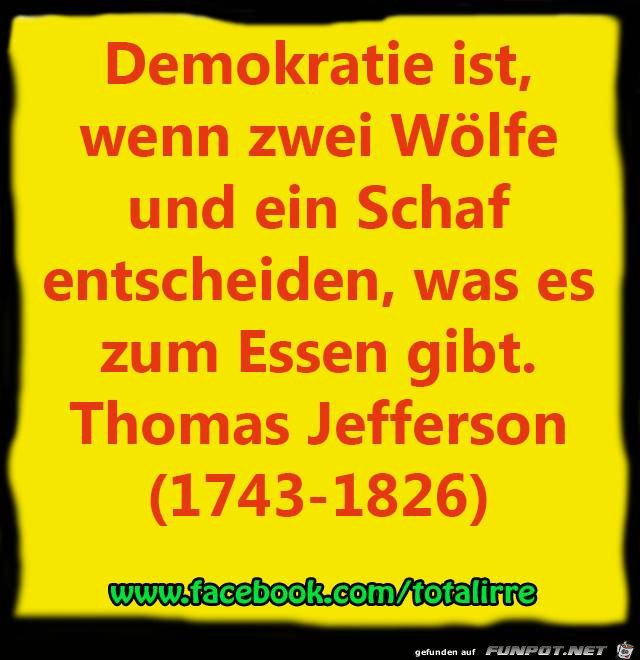 Entscheidungen