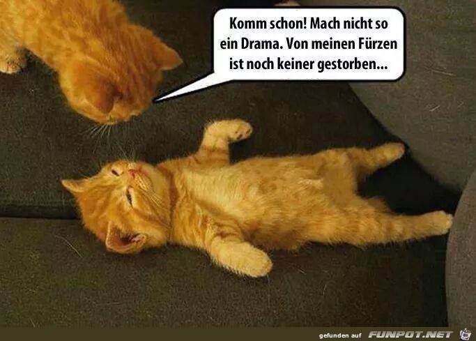 Komm schon Komm schon
