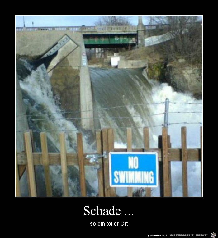 Schade Schade