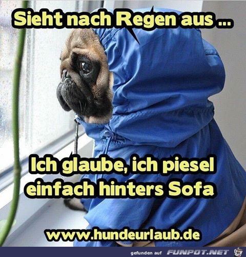Sieht nach Regen aus Sieht nach Regen aus