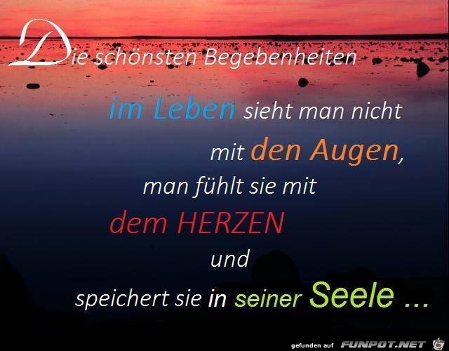 Die schoensten Begebenheiten Die schoensten Begebenheiten