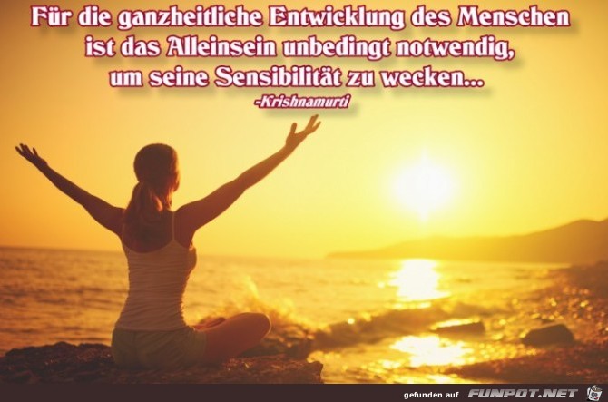 Entwicklung Entwicklung