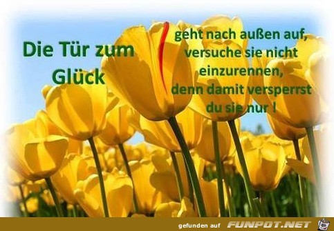 10 schne Sprche und Lebensweisheiten aus...