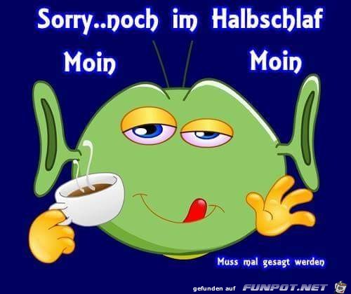 Moin Moin Lustig
