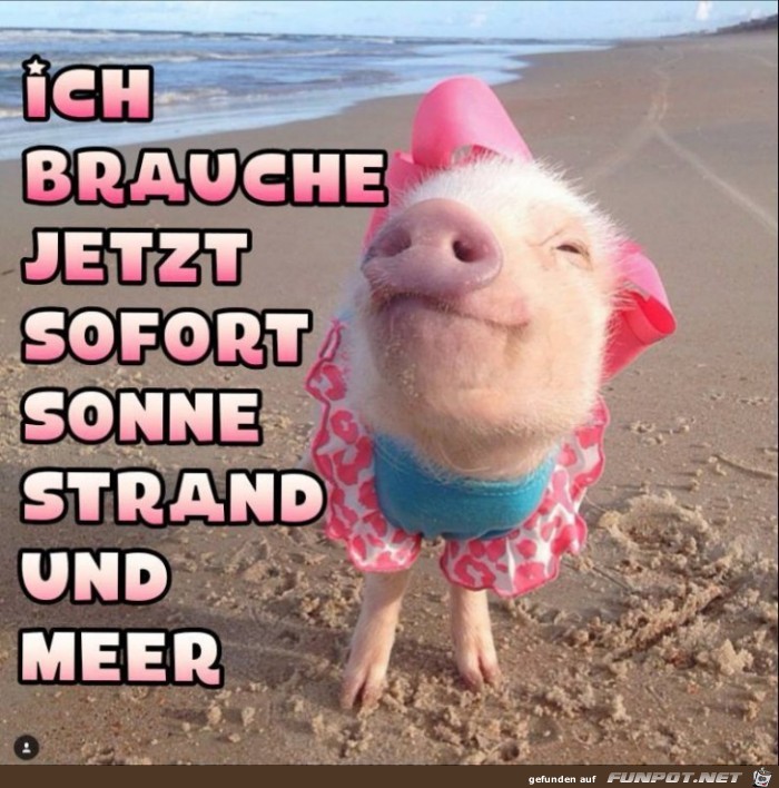 Brauche sofort Sonne Brauche sofort Sonne