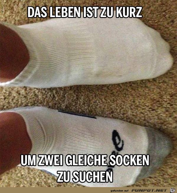 Das Leben ist zu kurz Das Leben ist zu kurz