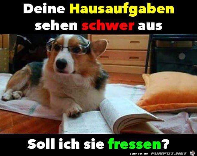 Hausaufgaben Hausaufgaben
