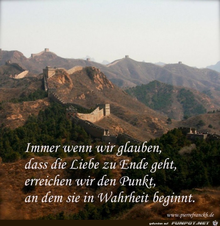 die Liebe die Liebe