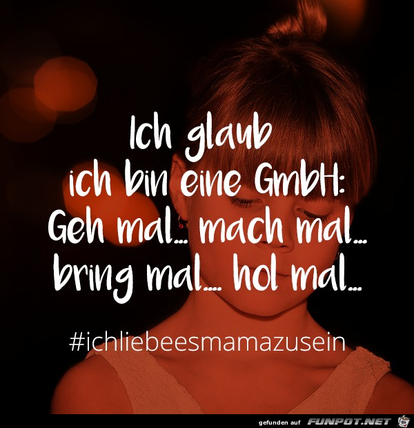 Bin eine GmbH Bin eine GmbH