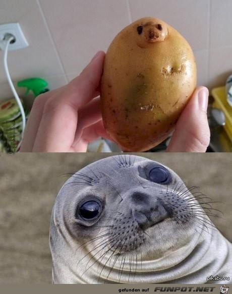 Gesichter Gesichter