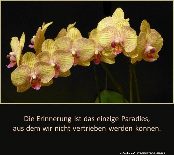 Die Erinnerung